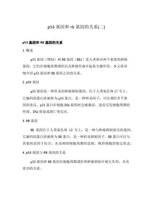 p53基因和rb基因的关系(二)