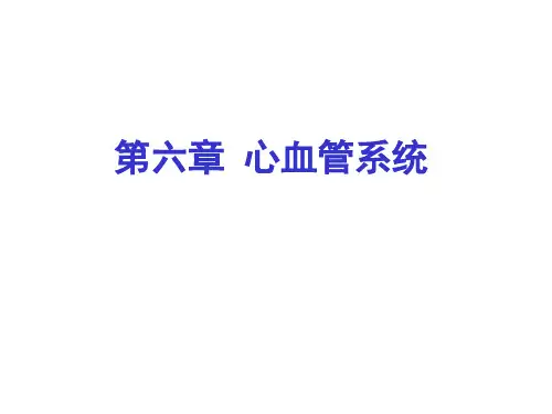 人体解剖学课件——静脉