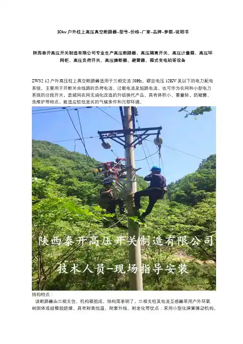10kv户外柱上高压真空断路器-型号-价格-厂家-品牌-参数-说明书