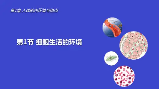 细胞生活的环境ppt课件