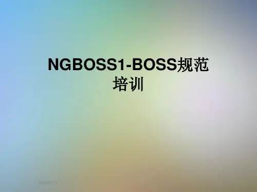 NGBOSS1-BOSS规范培训