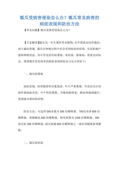 瓠瓜受病害侵染怎么办？瓠瓜常见病害的病症表现和防治方法