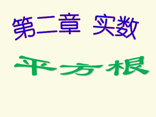 北师大版八年级数学上册 第二章 实数 2.2 平方根 课件(共28张PPT)