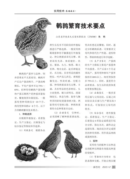 鹌鹑繁育技术要点