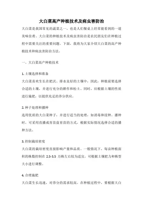 大白菜高产种植技术及病虫害防治