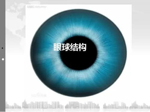 《眼球结构》ppt课件