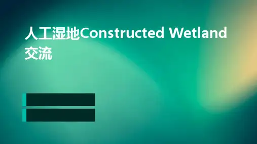 人工湿地constructedwetland交流