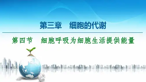 新教材浙科版必修第一册第3章 第4节 细胞呼吸为细胞生活提供能量课件(116张)