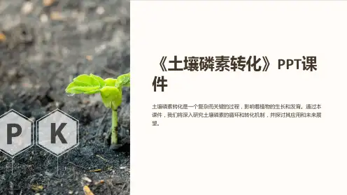 《土壤磷素转化》课件