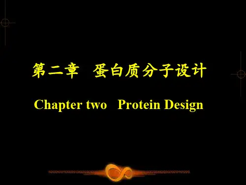 蛋白质分子设计