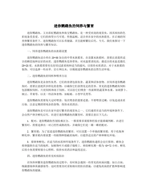 迷你鹦鹉鱼的饲养与繁育