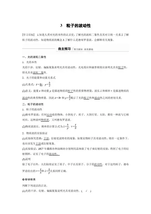20-21版：17.3　粒子的波动性（步步高）