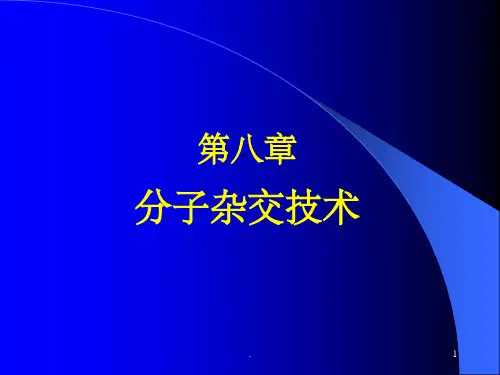 第八章 分子杂交技术ppt课件