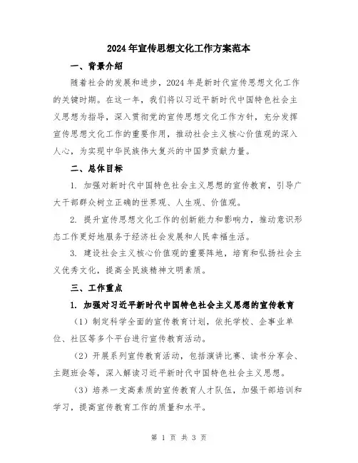 2024年宣传思想文化工作方案范本
