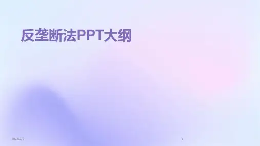 2024年度反垄断法PPT大纲
