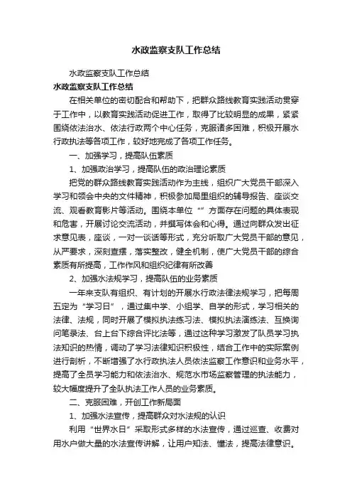 水政监察支队工作总结