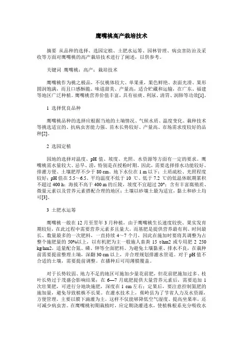 鹰嘴桃高产栽培技术
