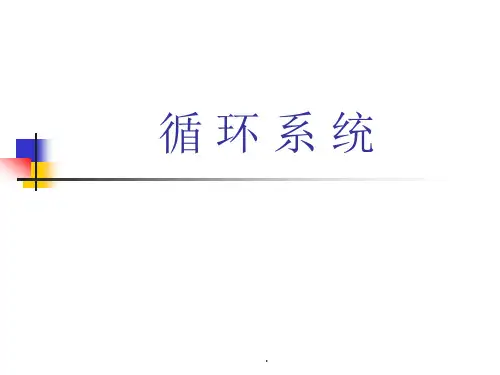 (医学课件)人体解剖学-循环系统-多动图PPT演示课件
