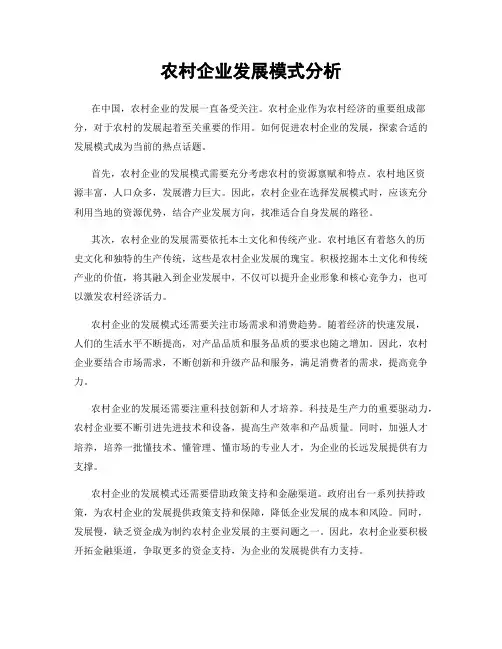 农村企业发展模式分析