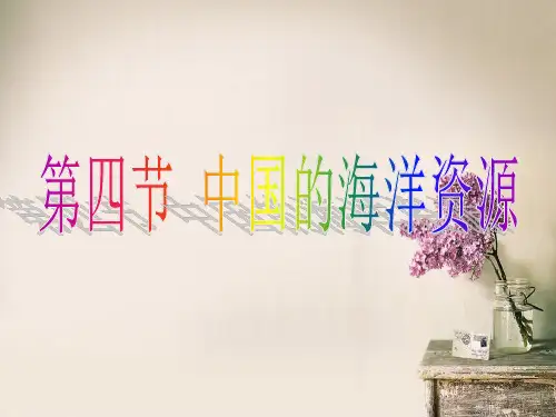 中国的海洋资源课件
