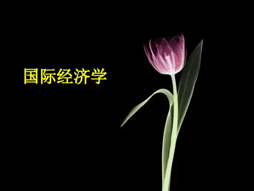 国际经济学教程(黄卫平彭刚) 第一章 绪论