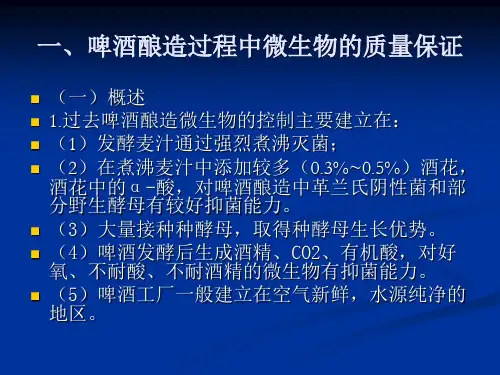 啤酒生产工艺学17
