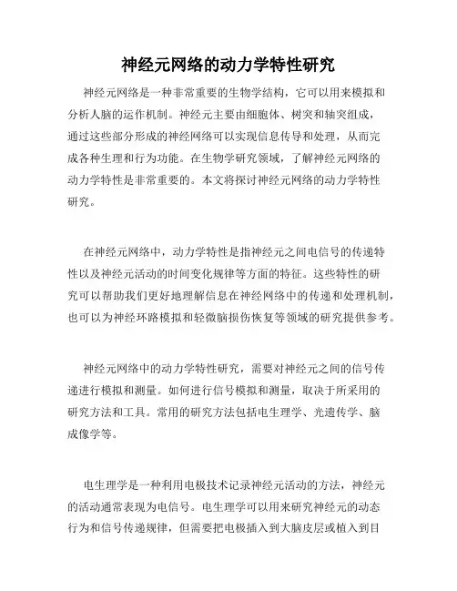 神经元网络的动力学特性研究