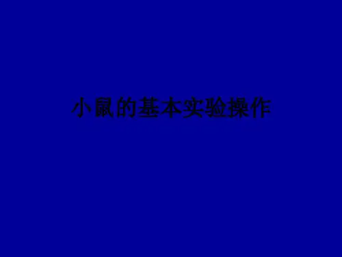 小鼠的基本实验操作ppt课件