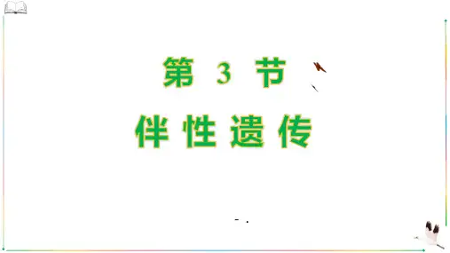 《伴性遗传》基因和染色体的关系PPT