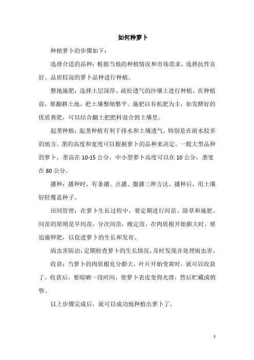 如何种萝卜
