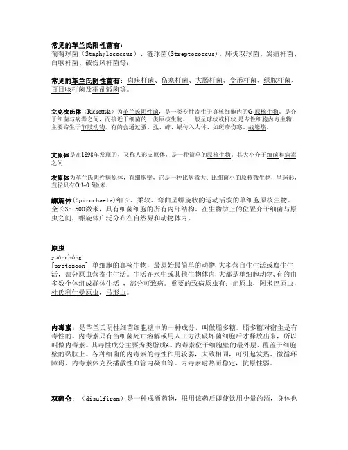 常见的革兰氏阳性菌等微生物