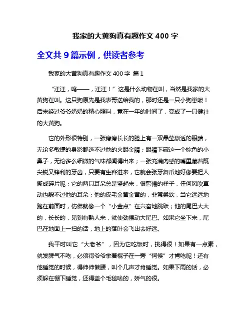 我家的大黄狗真有趣作文400字