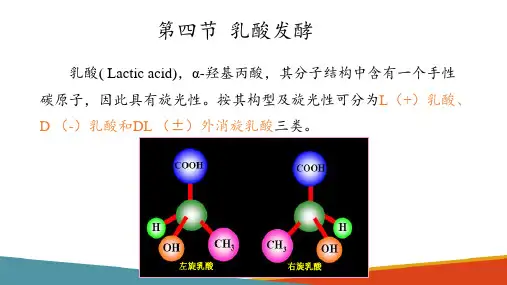 厌氧发酵工艺及设备—乳酸发酵