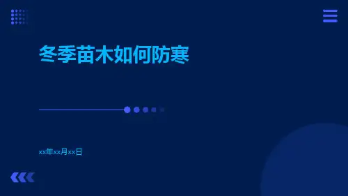冬季苗木如何防寒