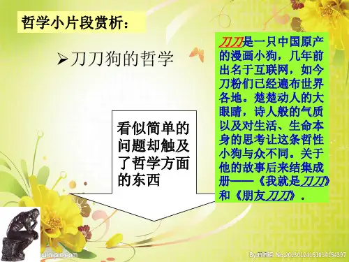 高中政治必修4课件：1.1生活处处有哲学(共42张PPT)