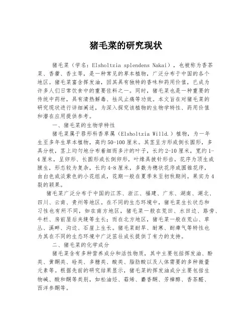 猪毛菜的研究现状