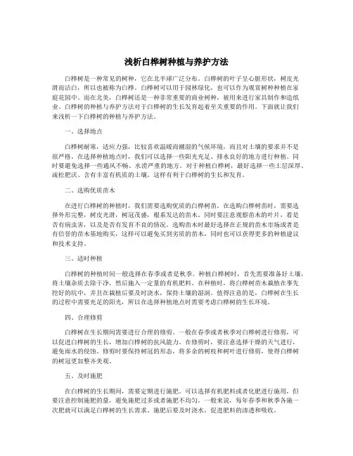 浅析白桦树种植与养护方法
