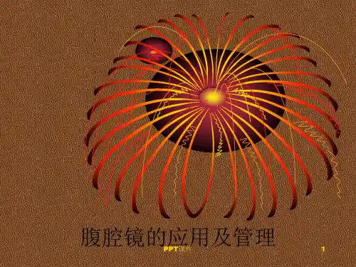 腹腔镜的操作标准  ppt课件