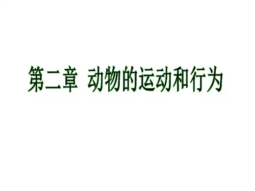 动物的运动和行为复习课件人教版生物八年级上册