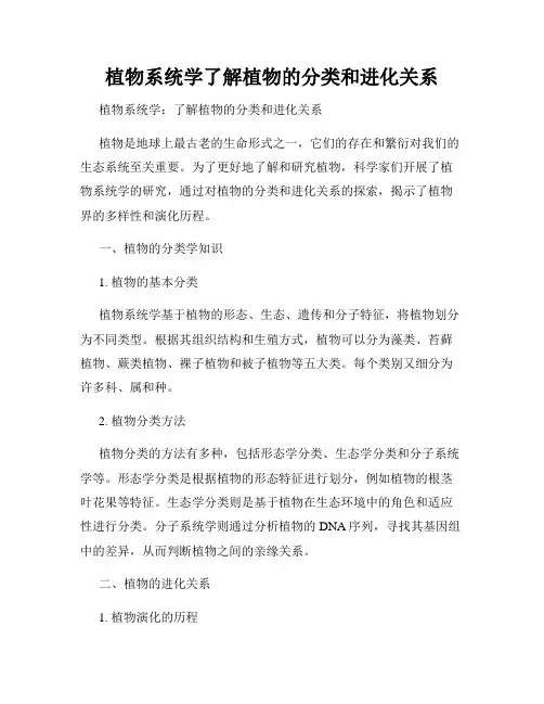 植物系统学了解植物的分类和进化关系