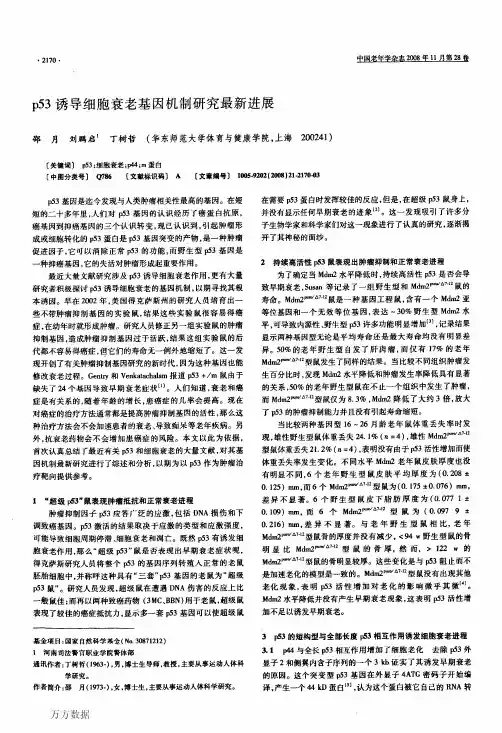 p53诱导细胞衰老基因机制研究最新进展