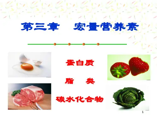 食品营养学第3章  宏量营养素