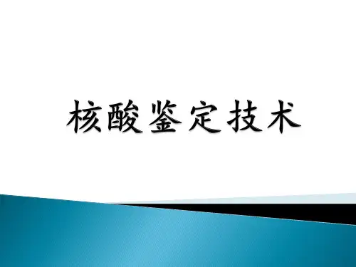 实验2-2  DNA琼脂糖凝胶电泳