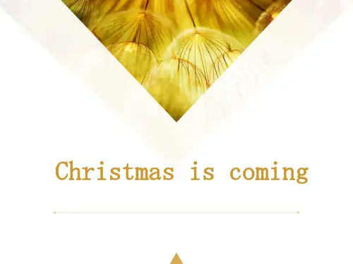 《Christmas is coming》PPT课件