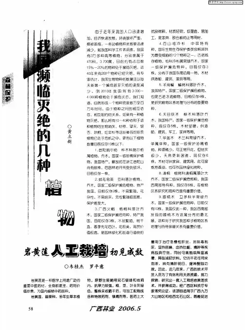岩黄莲人工栽培初见成效