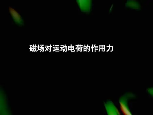 磁场对运动电荷的作用力