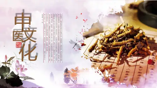 中医中药PPT模板 (4)
