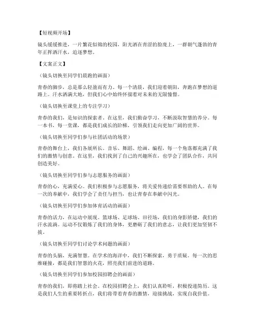 我们正青春短视频文案