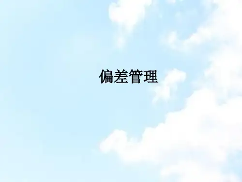 偏差处理 ppt课件