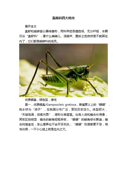 螽斯科四大鸣虫